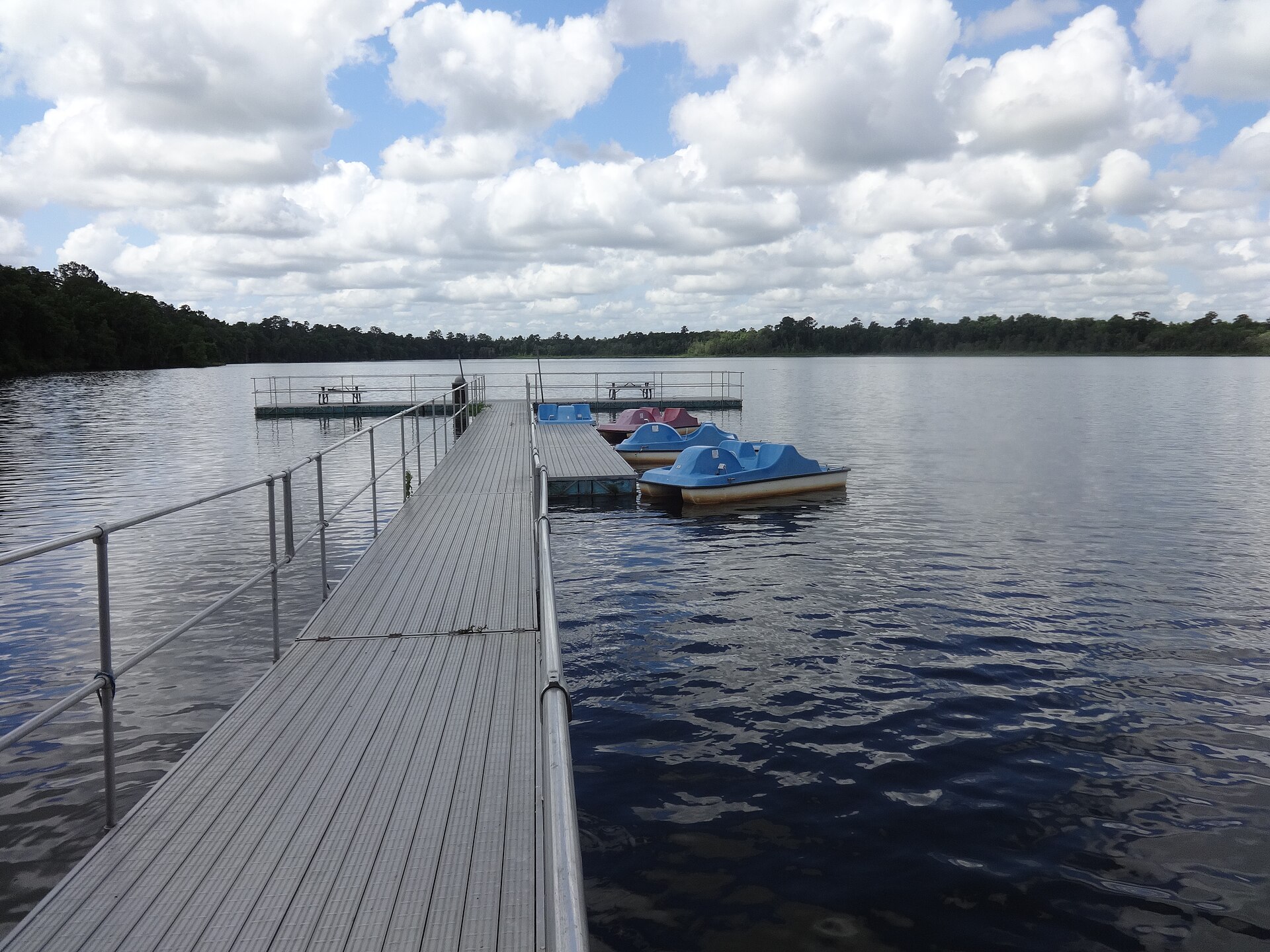 A dock and pedal boats on Grassy Pond, with trees along the far shore
