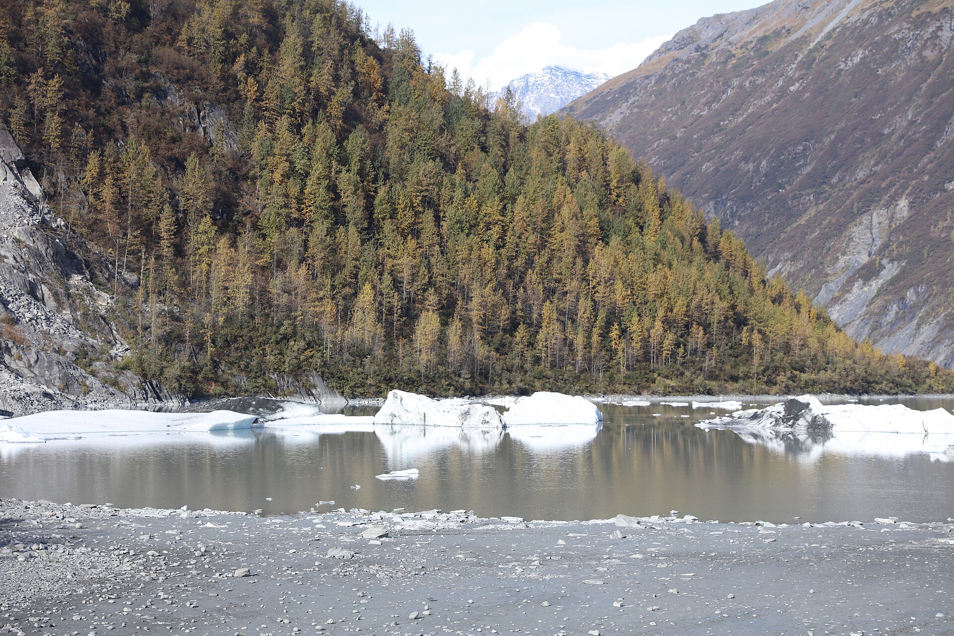 Ice on Valdez Glacier lake, with autumn trees and a mountain valley behind it
